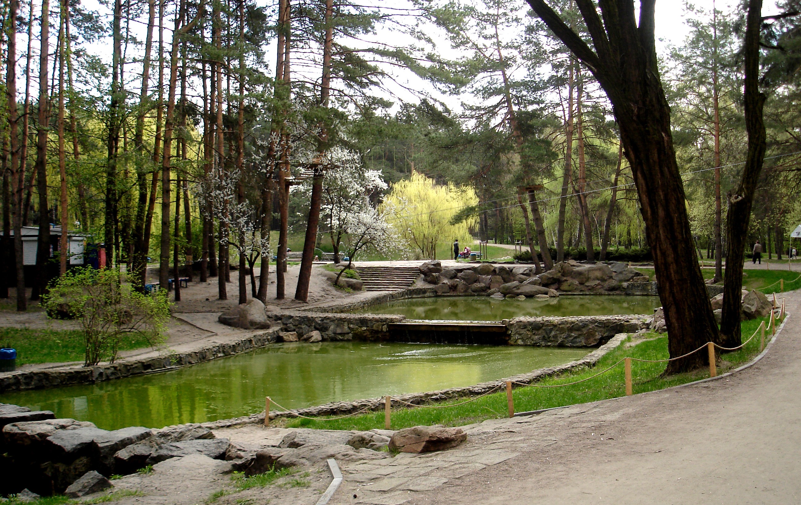 Сосновий Бір 3
